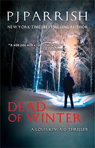 Dead of Winter ebook